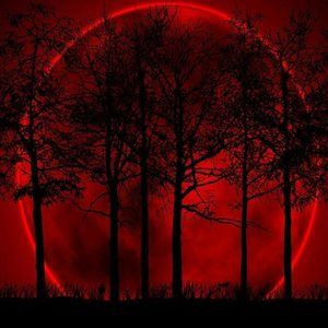 Meet your Posher, Gerardo